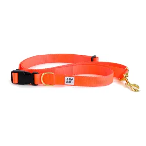 Dog Bone Adjustable Leash 3-6ft, Hand Held/ Hands Free, Lava Orange