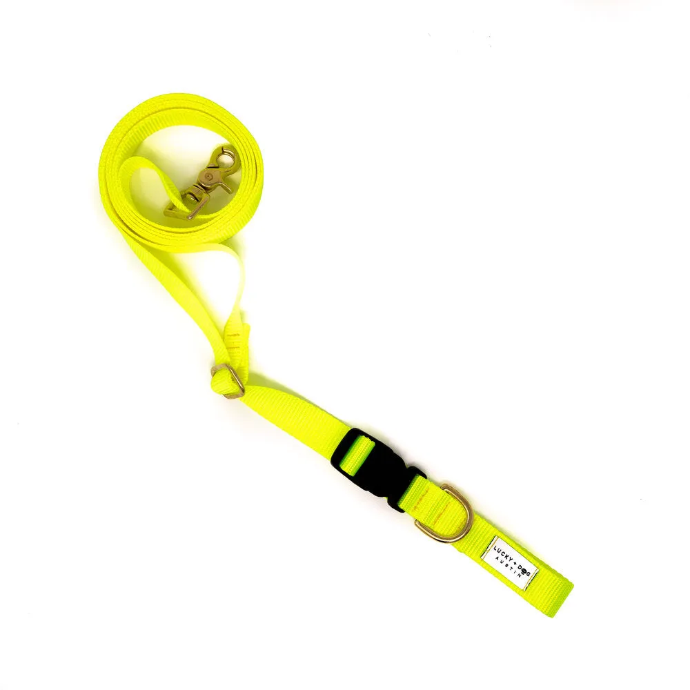 Lucky   Dog Austin Adjustable Leash