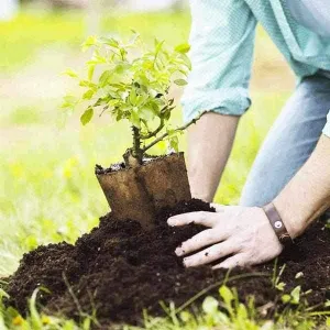 RootMax Tree Planting Soil - Deep Growth Support